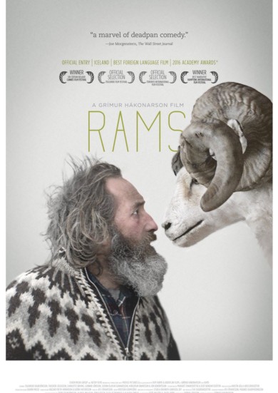 Rams [Hrútar]